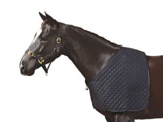 Roma Deluxe Shoulder Guard