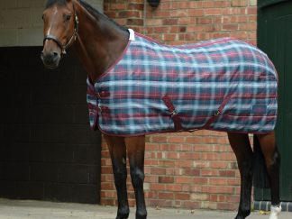 Saxon PP Stable Standard Neck Medium II Rug