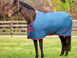 Saxon 600D Standard Neck Medium IV Turnout Rug
