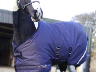 Gallop Trojan 200 Flexi-Foal Turnout