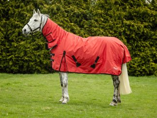Rhinegold Konig Full Neck Combo Outdoor Rug