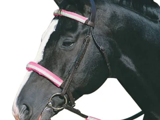 Roma Reflective Bridle Set