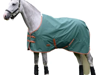 WeatherBeeta ComFiTec Tyro 200g Turnout Rug - Green/Burnt Orange
